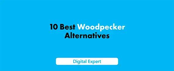 10 Best Woodpecker Alternatives: Top Tools and Competitors in 2025