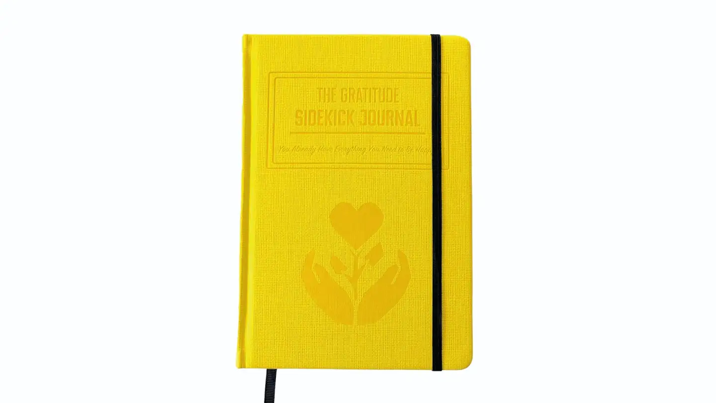 Спецпредложение для Gratitude Sidekick Journal - лучшая цена на рынке