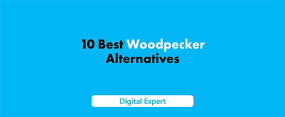 10 Best Woodpecker Alternatives: Top Tools and Competitors in 2025