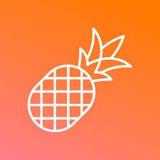 Pineapple Builder - обзор, отзывы, цены