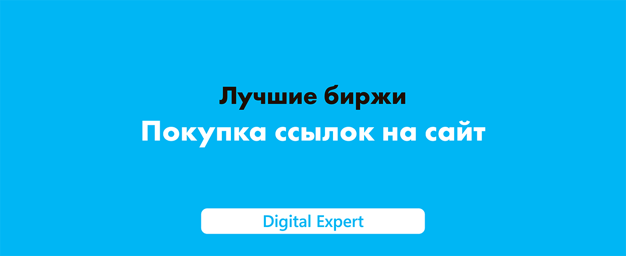 Купить ссылки на сайт: полное руководство по лучшим биржам 2025 года