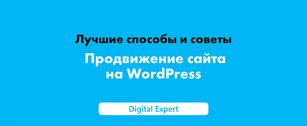 Продвижение сайта на WordPress в 2025