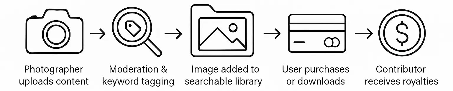 Flowchart of how stock photo websites work, from contributor upload to buyer download and royalty payment