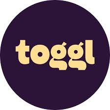 Toggl - review, pricing plans, alternatives, details